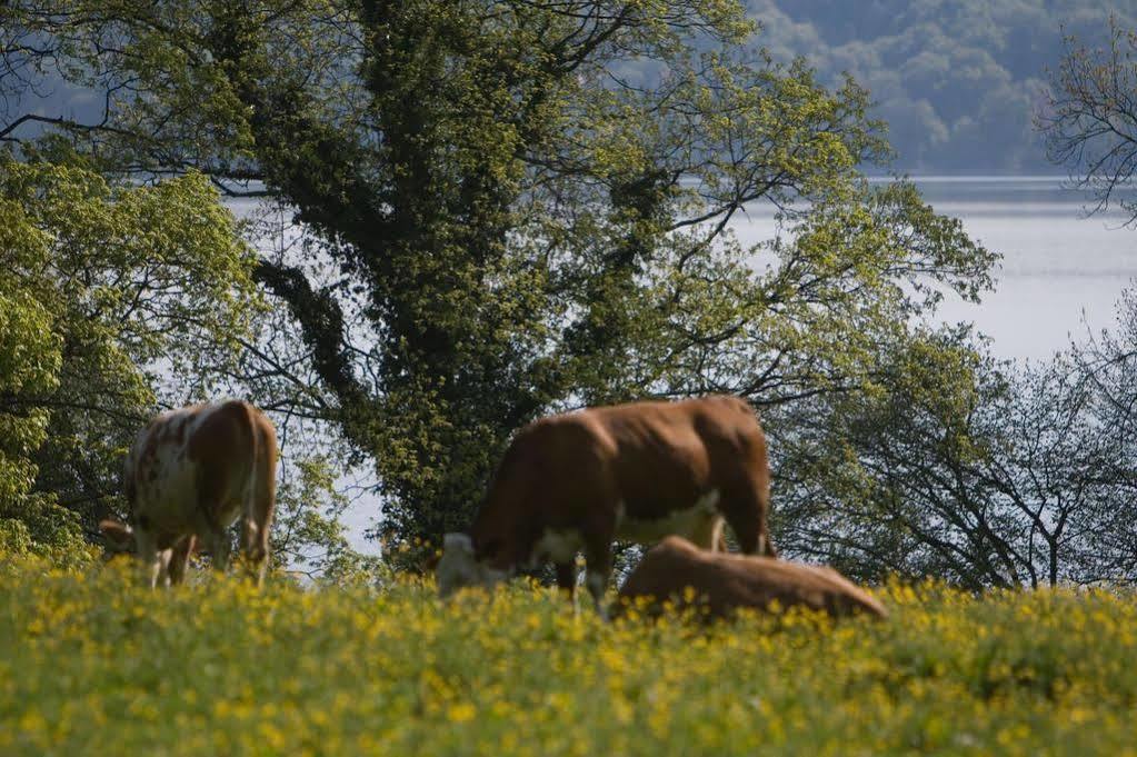 Hotel Seeblick Bernried am Starnberger See Eksteriør billede